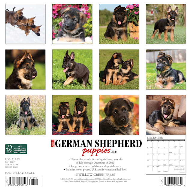 Wall Calendar 2024 - 30 x 29 Cm SWEET PUPPIES 