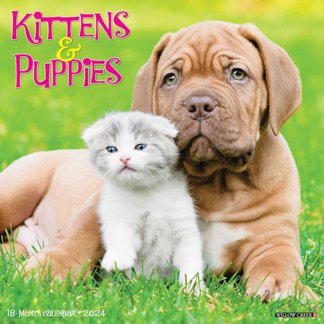 Willow Creek Press Kittens Puppies 2024 Wall Calendar 12