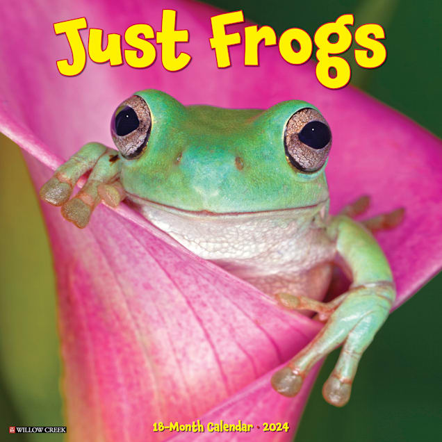 Willow Creek Press 2024 Frogs Wall Calendar 12"x12"