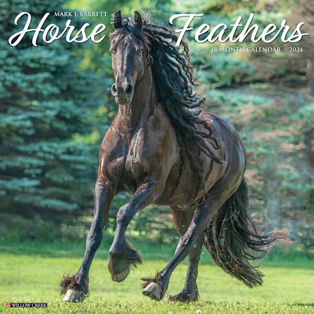 Willow Creek Press Horse Feathers 2024 Wall Calendar 12 quot L X 12 quot W