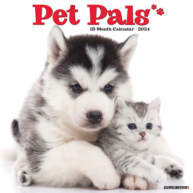 Willow Creek Press Pet Pals 2024 Wall Calendar 12 L X 12 W Large   3862571 Center 1