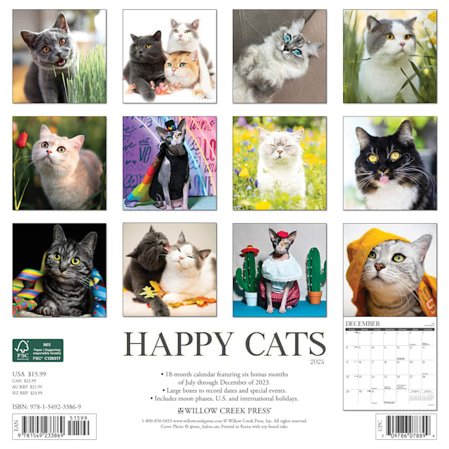 2024 Cat A Day Wall Calendar TF Publishing Calendars