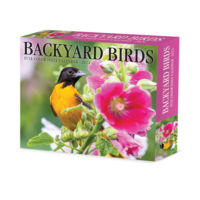 Willow Creek Press Backyard Birds 2024 Box Calendar, 6.2" L X 5.4" W