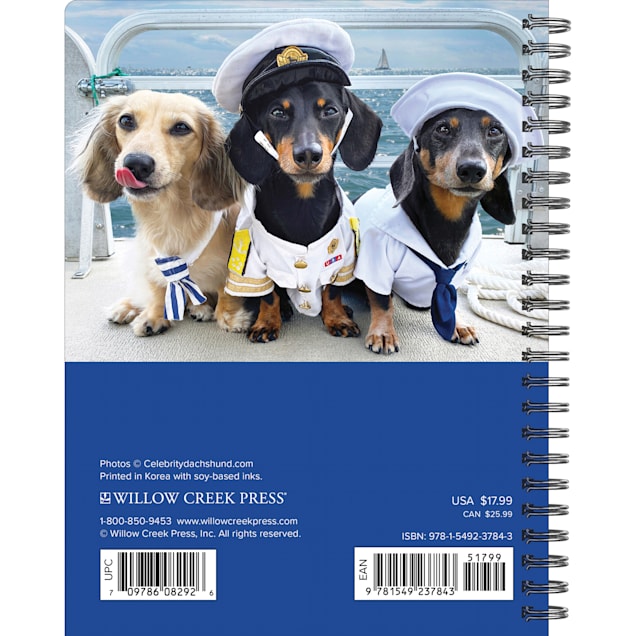 Willow Creek Press Crusoe the Celebrity Dachshund 2024 Engagement Calendar,  6.5" L X 8.5" W, Large | Petco