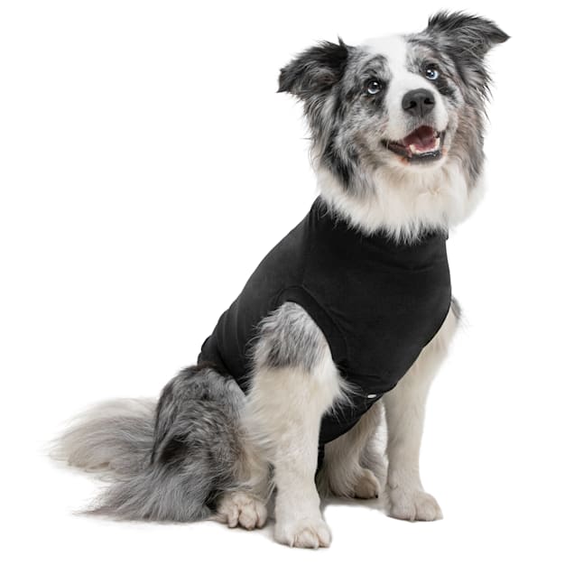 Suitical recovery suit petco top