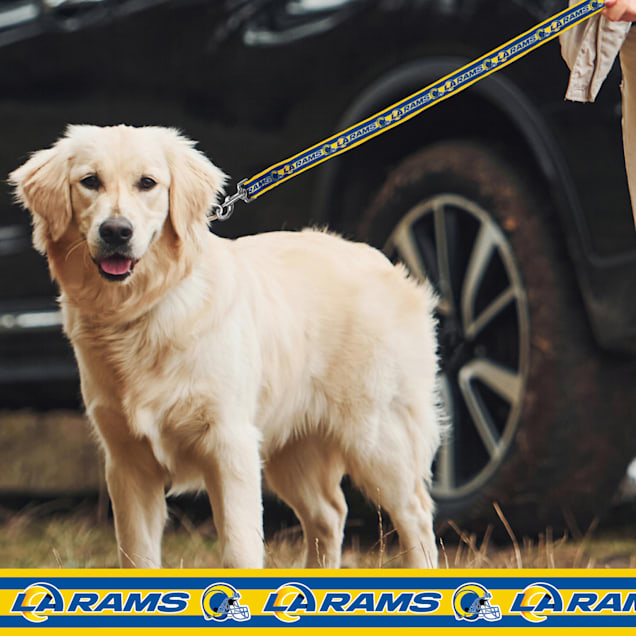 Pets First Los Angeles Rams Satin Dog Leash Large Petco