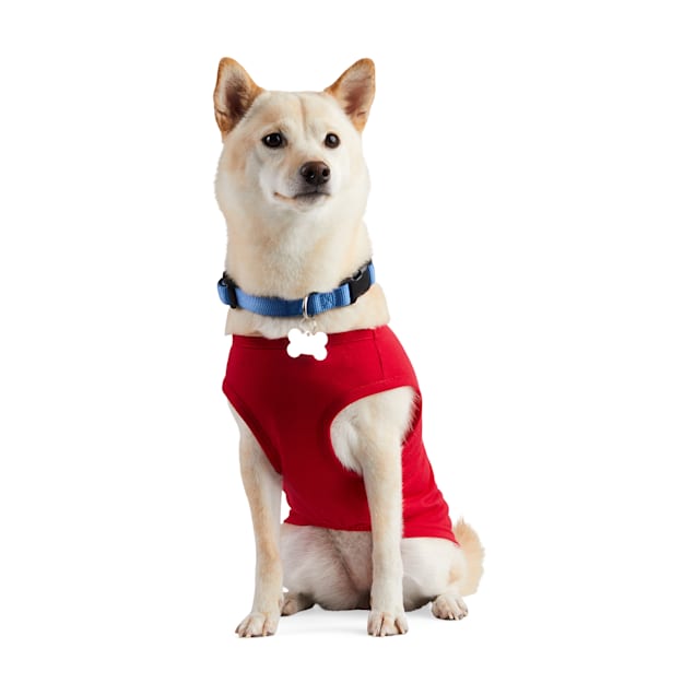 YOULY Treat Bandit Dog T-Shirt, XX-Small, Red | Petco