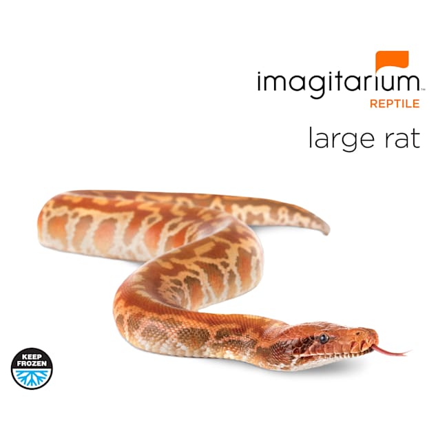 Frozen Large Rat Count of 25 Petco