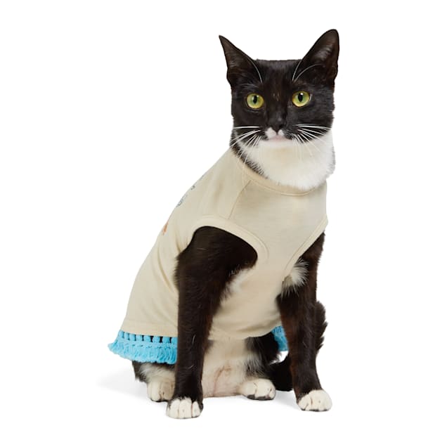 Petco cat clothes cheap