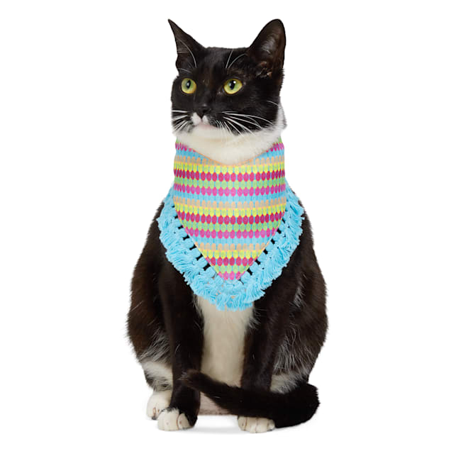Petco cat sweater deals