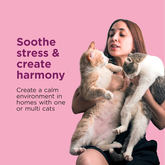 Comfort Zone Single Multi Cat Calming Diffuser Refill for A Soothing Home 48 ml. Pack of 1 Petco