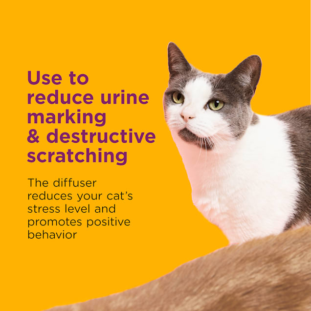 Comfort zone cat diffuser online reviews