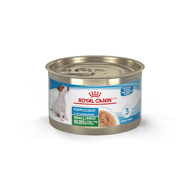 Royal Canin Size Health Nutrition Small Puppy Thin Slices in Gravy Wet Dog Food, 5.1 oz., Case of 24 - Carousel image #1