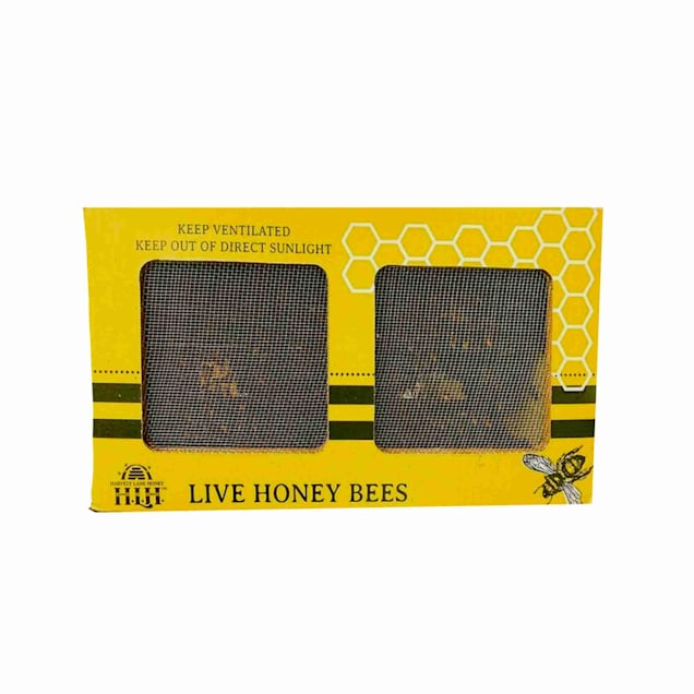 Harvest Lane Honey Italian Honey Bee Starter Colony with Queen, 3 lbs. - Carousel image #1