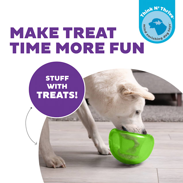 Outward Hound Interactive Dog Toys Challenge Dogs to Find Treats