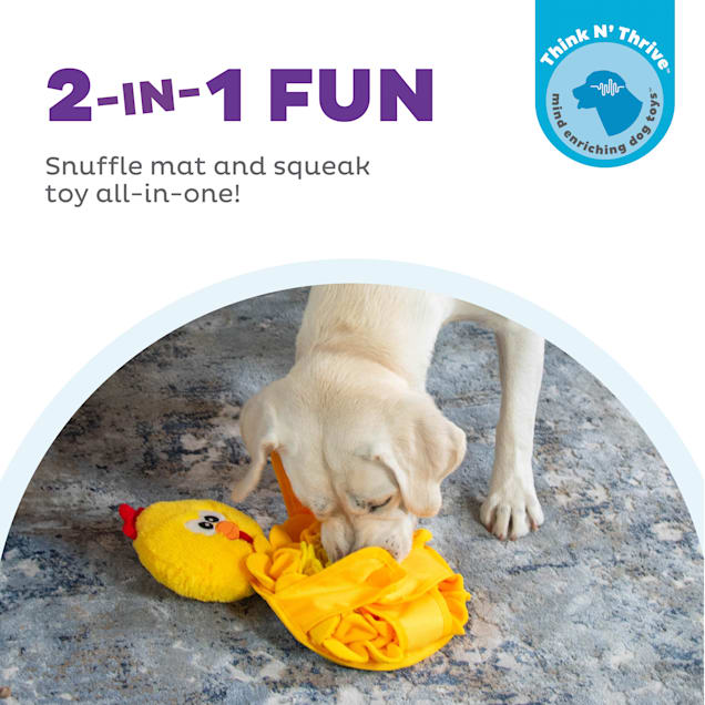 Petco interactive dog toys clearance