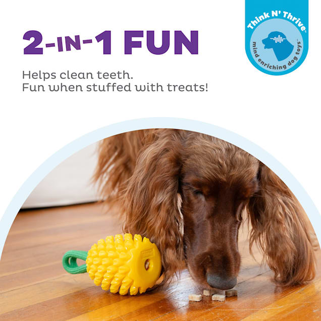 Dog dental chew toys deals