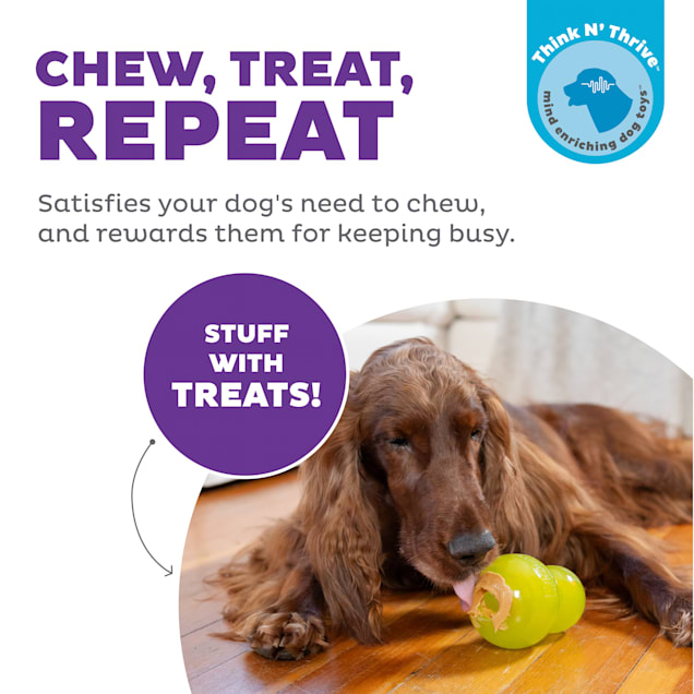 Petco interactive deals dog toys