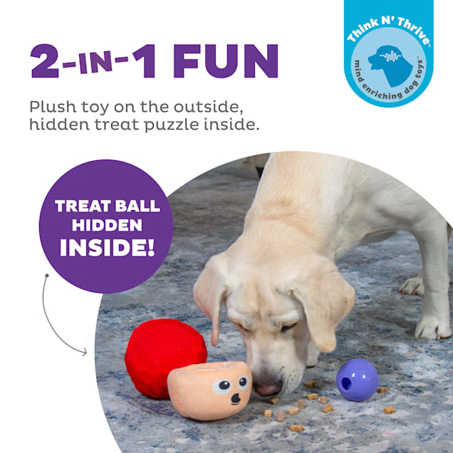 A Labrador Dog Toy 2 in 1 Plush & Ball Dog Toy for Pet Anxiety and