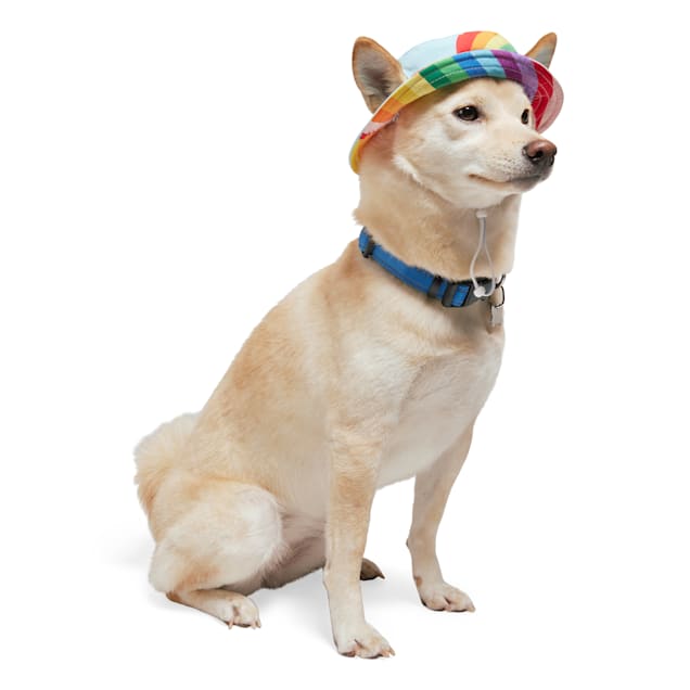 Bucket hat for dogs top