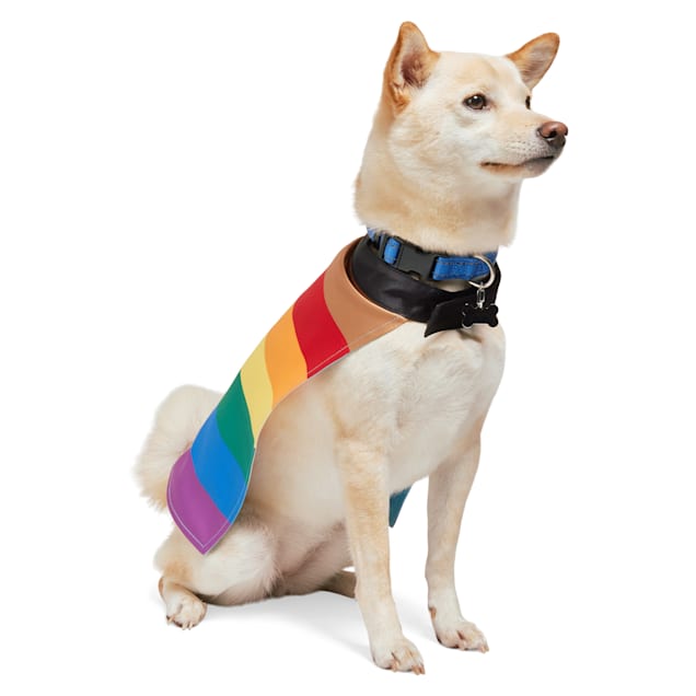 Dog pride gear online