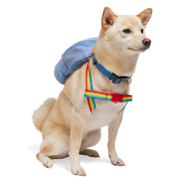 YOULY Pride Dog Backpack, Small/Medium, Rainbow