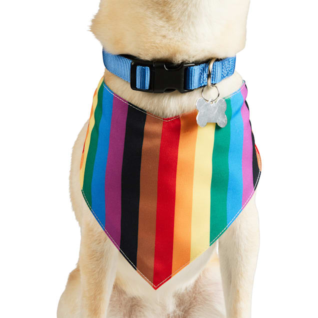Pride bandana for dogs top