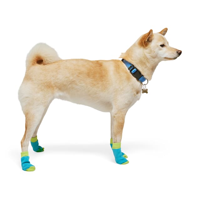 Dog socks petco cheap
