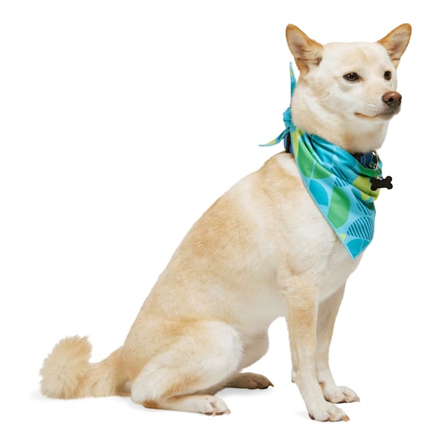 Youly Cool to Touch Dog Bandana X Small Small Blue