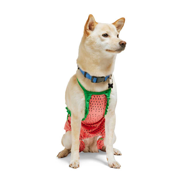 Berry dog bathing suits new arrivals