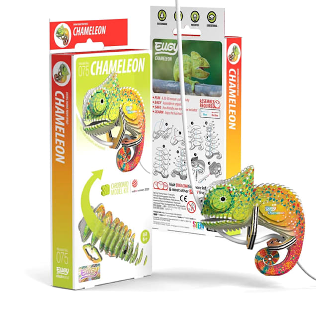 Chameleons for sale petco on sale