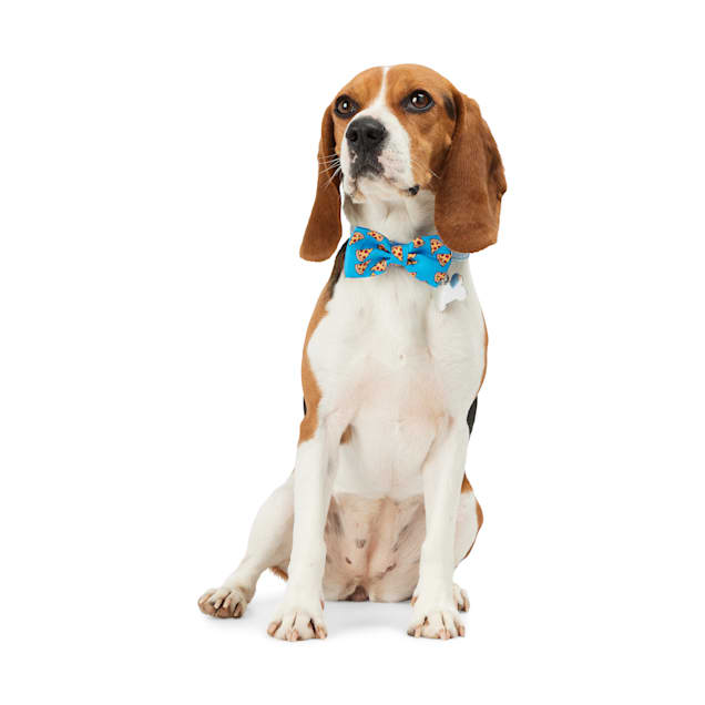Youly Pizza Tie and Blue Bowtie for Dogs