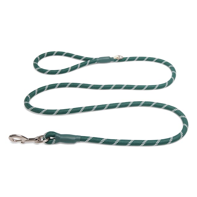 Petco rope leash best sale
