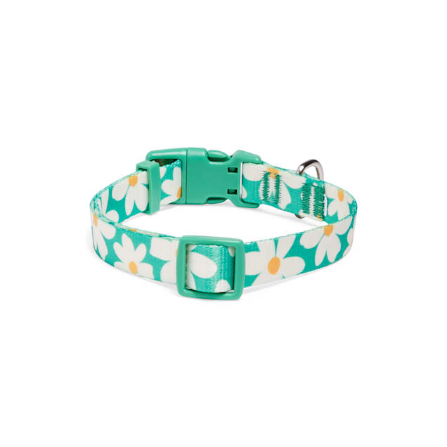 Daisy puppy collar deals