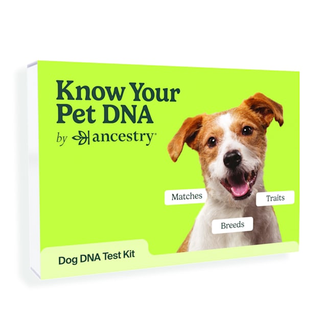 Wisdom panel 3.0 breed identification top
