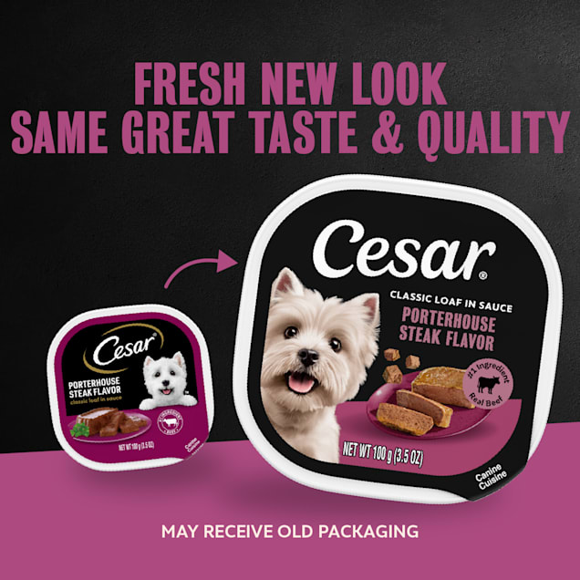 Cesar Classic Loaf in Sauce Porterhouse Steak Flavor Wet Dog Food