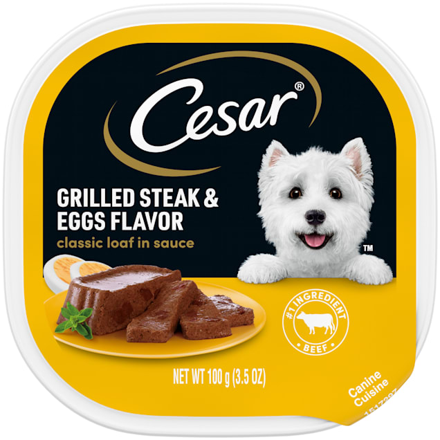 Cesar Grilled Steak Eggs Wet Dog Food 24 Pack 3.5 oz