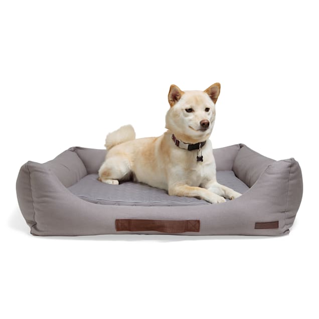 Reddy Orthopedic & Reversible Cozy Cool Dog Bed 28"x28"