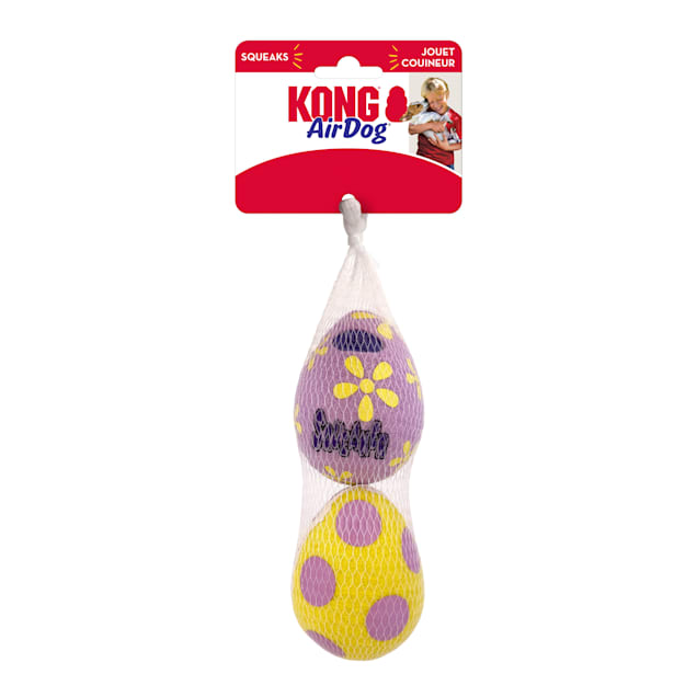 Kong egg shop dog toy
