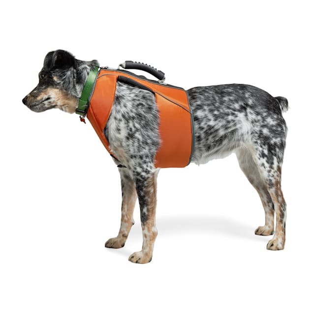 Youly Ultimate Dog Floatation Vest X Large