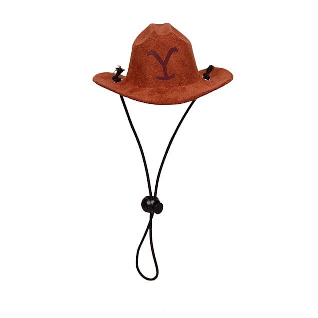 Gone Country Hats - Yellowstone Cowboy Hat – Country Scene Saddlery and Pet  Supplies