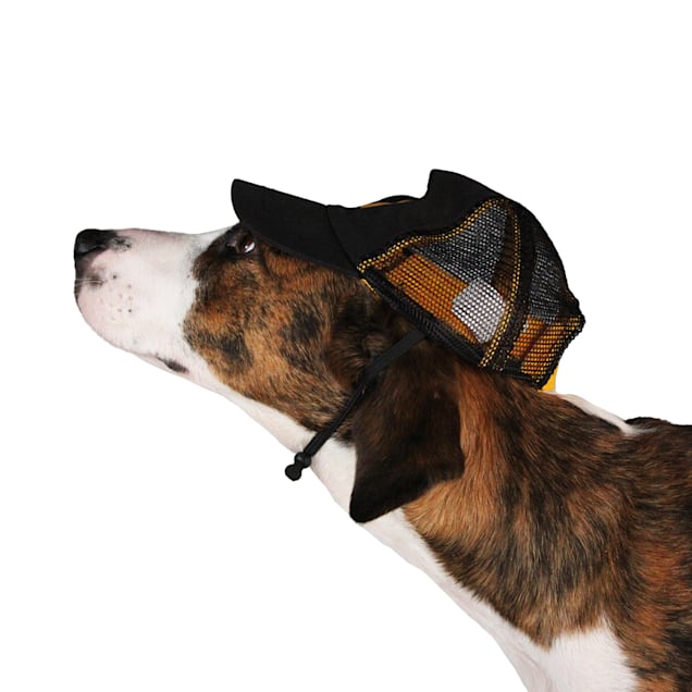 YELLOWSTONE Trucker Dog Hat Small Medium Black