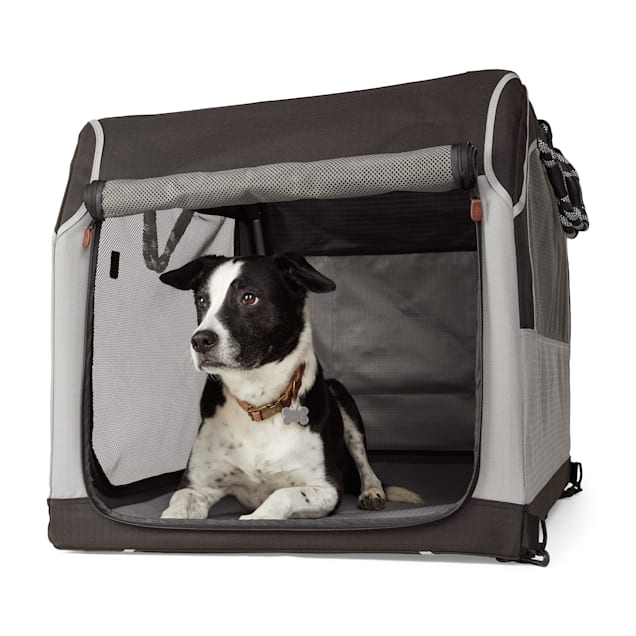 Reddy Foldable Travel Crate for Pets Small Medium