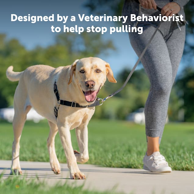 PetSafe Easy Walk Black Dog Harness Medium