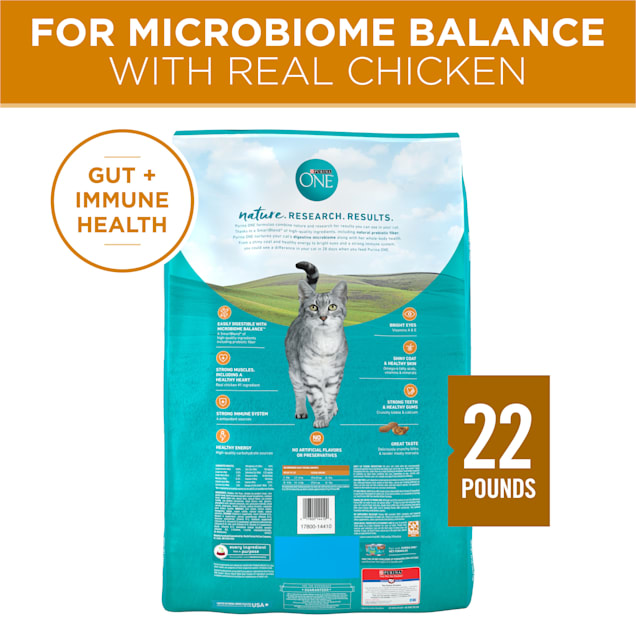 Purina one cat food 22 lb top