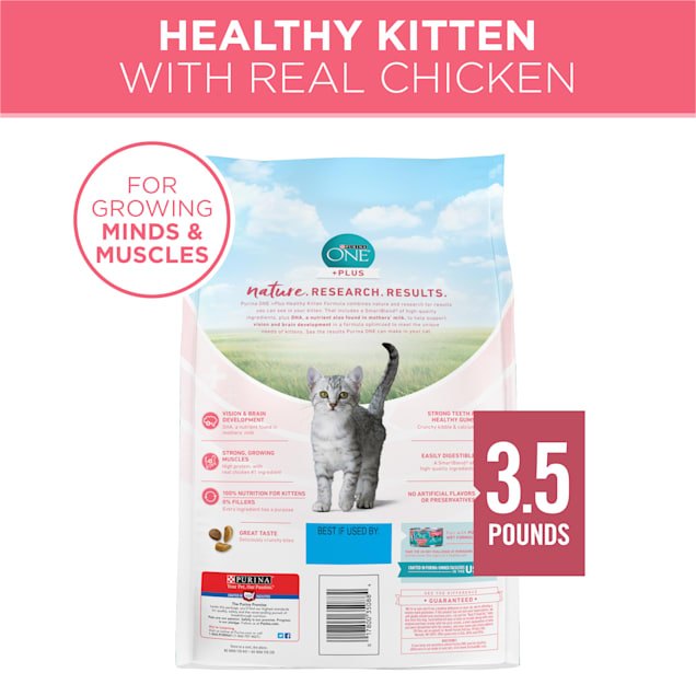 Kitten formula petco discount