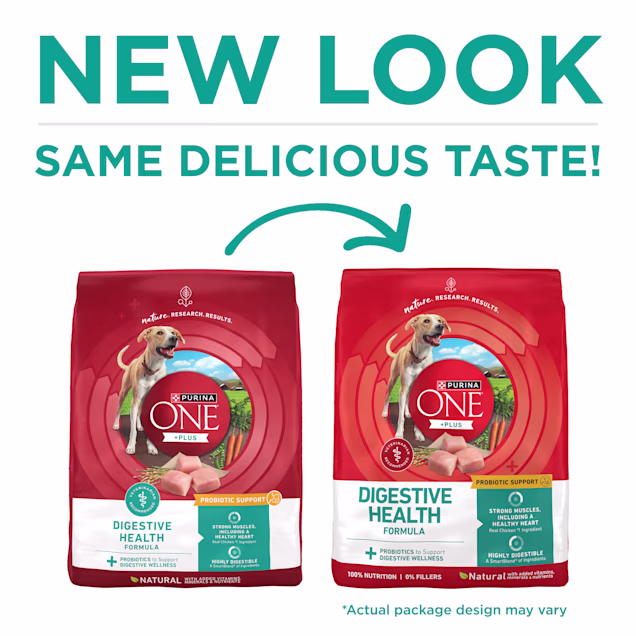 Purina One Plus Digestive Health Formula Natural with Added