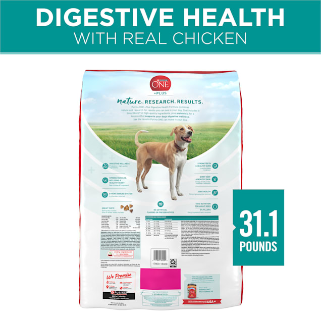 Petco purina one dog food cheap