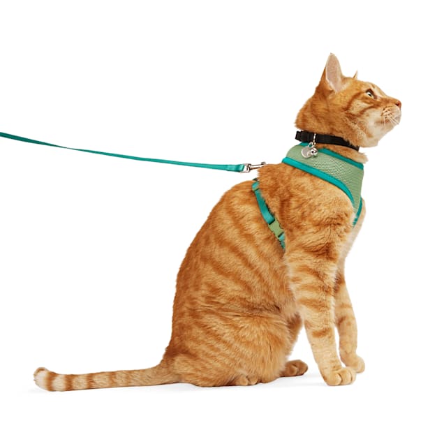 YOULY Updated Mesh Cat Harness Leash Set Green Small Medium Petco