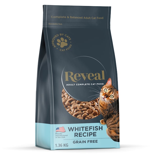 Grain free cat food recipe sale